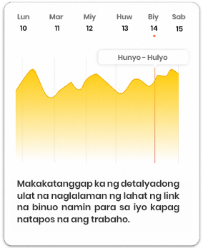 SEO Report & Updates