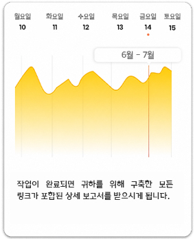 SEO Report & Updates