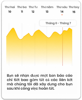SEO Report & Updates