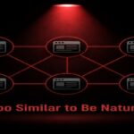 The Warning Signs of a Bad PBN Service for Gambling Backlinks