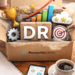 Unpacking the Importance of DR for SEO Success