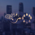 How Niche Content can attract and retain Loyal Following